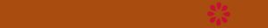 bg2 300x32 - bg2